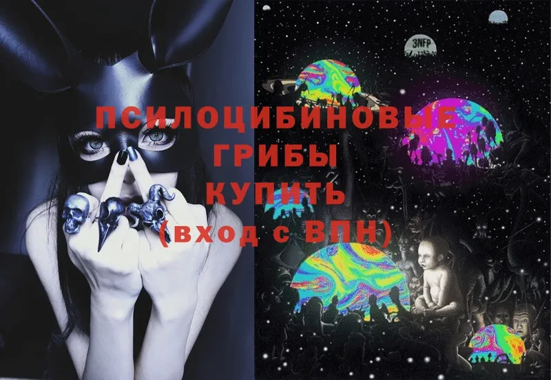 Галлюциногенные грибы Cubensis  Касли 